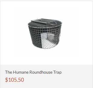 The Humane Roundhouse Trap 12 x 19